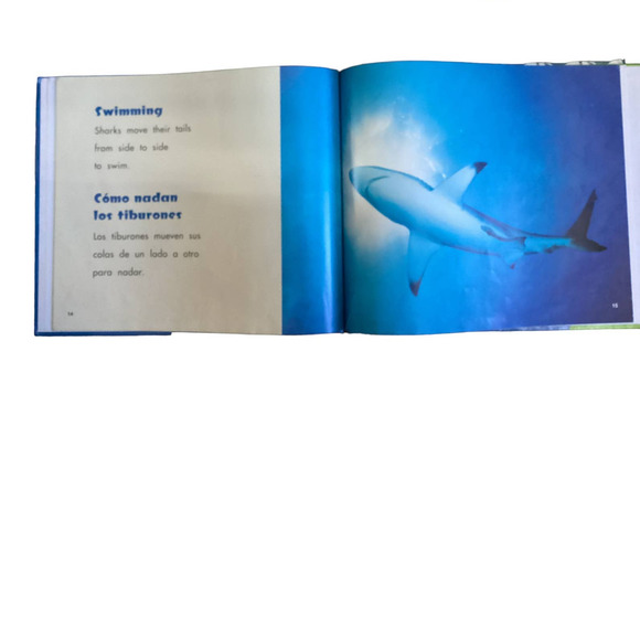 SHarks and Fish Set of 4 Informative Books with Pictures Hardcovers - Picture 3 of 6